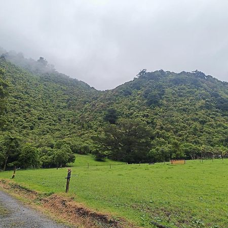 Gumboot Paradise Eco Stay Barrytown Exterior foto