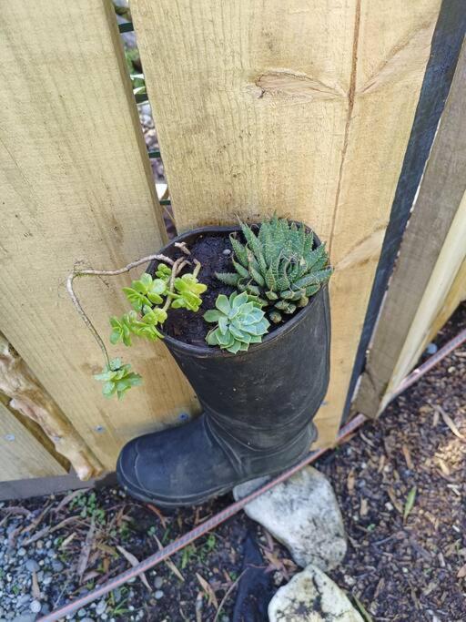 Gumboot Paradise Eco Stay Barrytown Exterior foto